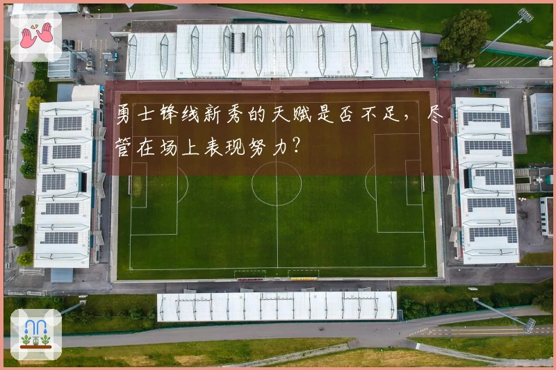 勇士锋线新秀的天赋是否不足，尽管在场上表现努力？
