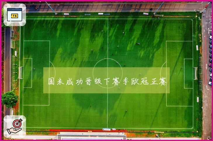 国米成功晋级下赛季欧冠正赛