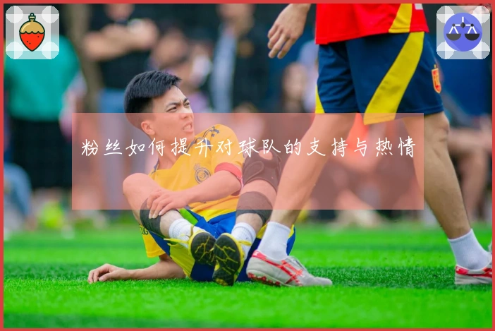 粉丝如何提升对球队的支持与热情
